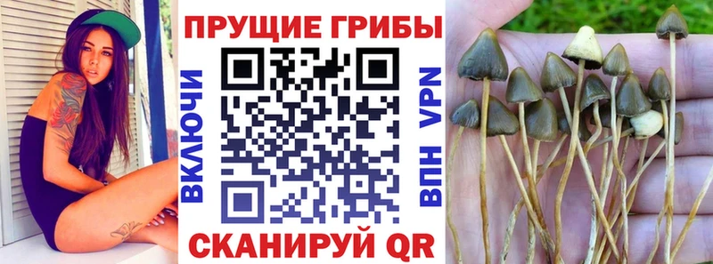 Псилоцибиновые грибы Magic Shrooms Менделеевск