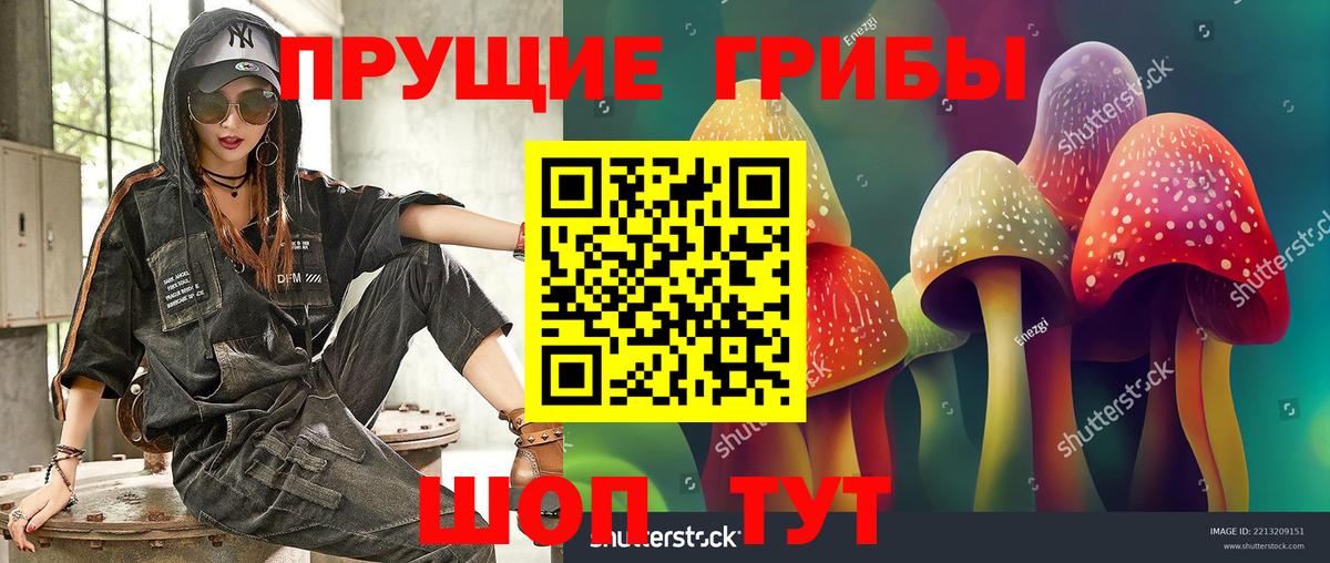 Псилоцибиновые грибы Psilocybe Менделеевск