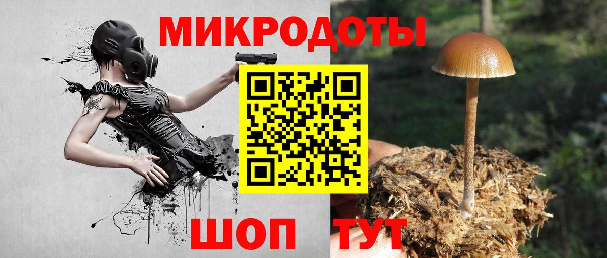 Псилоцибиновые грибы ЛСД  Вход с VPN  Менделеевск  Псилоцибиновые грибы Psilocybe 